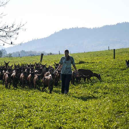 Agroturistika Kozi Farma Rožnov pod Radhoštěm Dış mekan fotoğraf